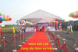 Thảm trải sự kiện rẻ nhất Hà Nội.
